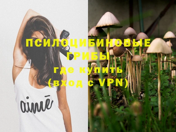 дурь Абаза