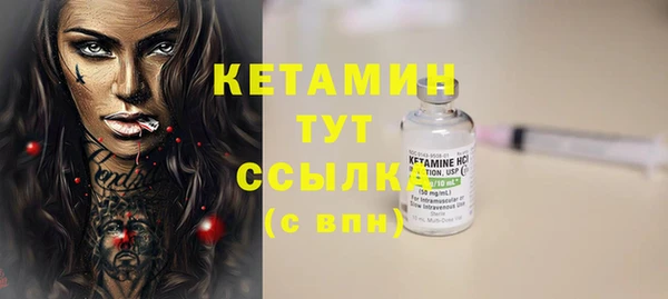 прущие грибы Абинск