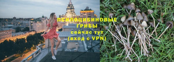 дурь Абаза