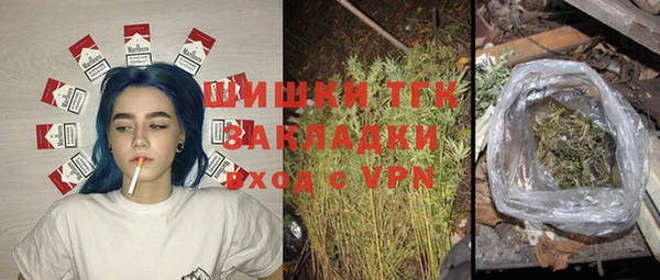 прущие грибы Абинск