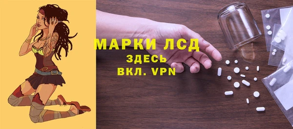 прущие грибы Абинск