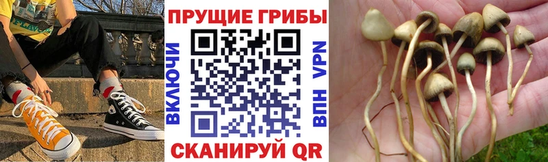 Псилоцибиновые грибы Magic Shrooms  Сорск 
